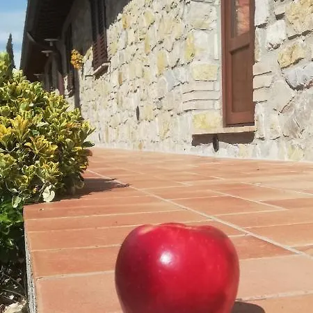 Collomici