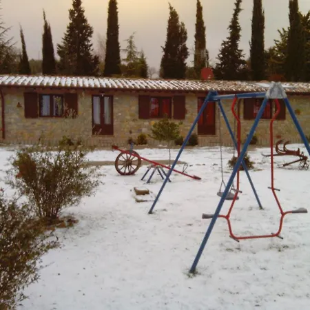 Collomici
