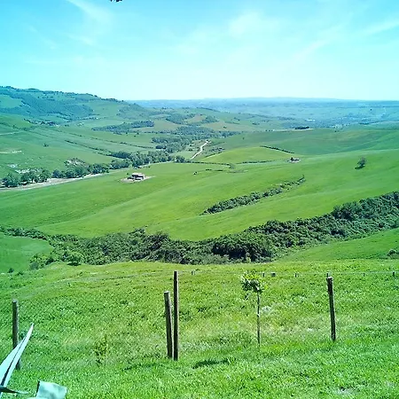 Collomici