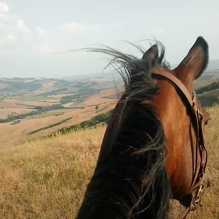Farm stay Collomici Celle sul Rigo