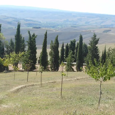 Collomici