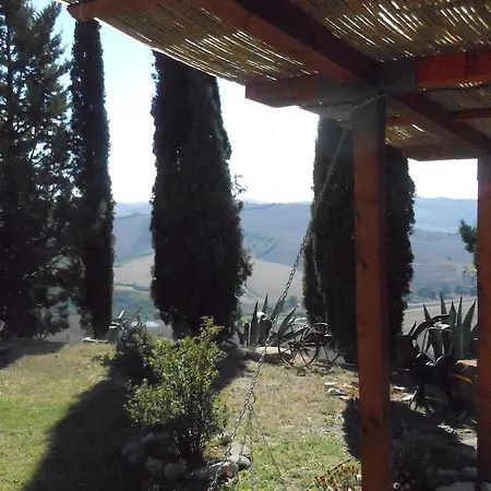 Collomici