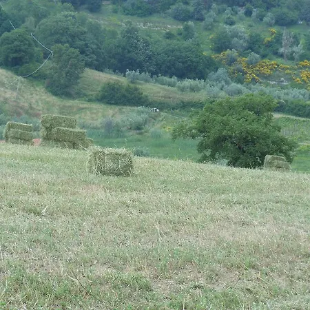 Farm stay Collomici Celle sul Rigo