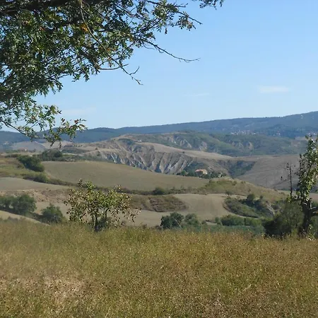 Collomici