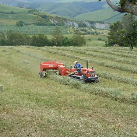 Farm stay Collomici *