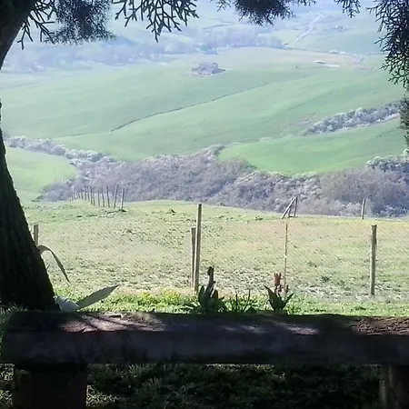 Collomici