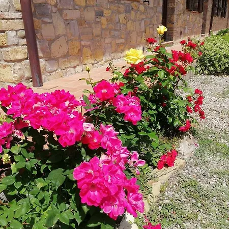 Collomici Farm stay Celle sul Rigo