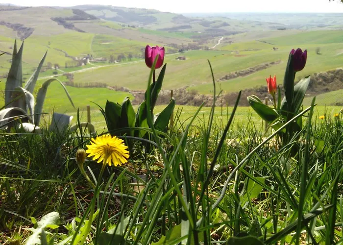 Feriegård Collomici