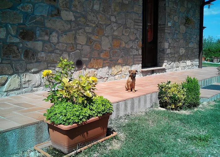 Feriegård Collomici