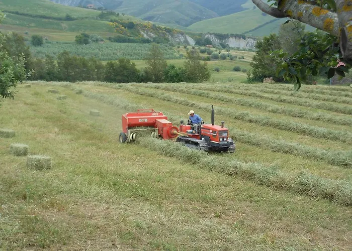 Feriegård Collomici *