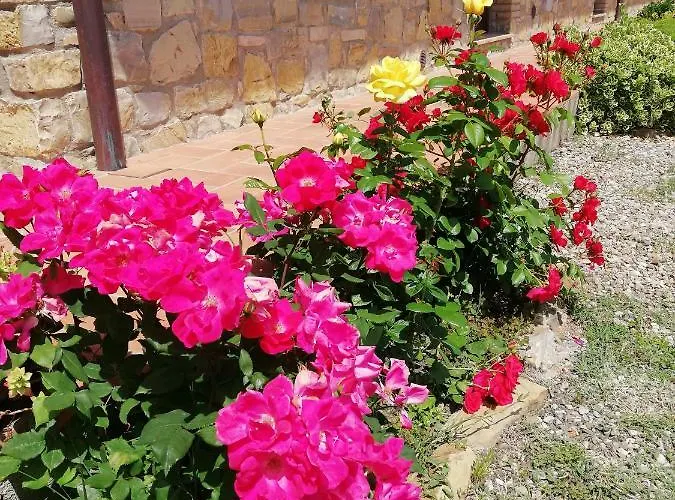 Collomici Feriegård Celle sul Rigo