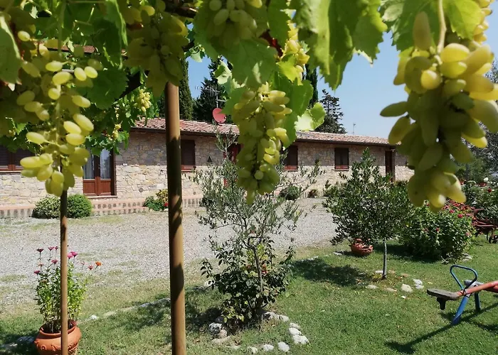 Feriegård Collomici