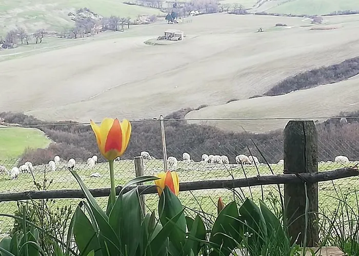 Collomici Celle sul Rigo