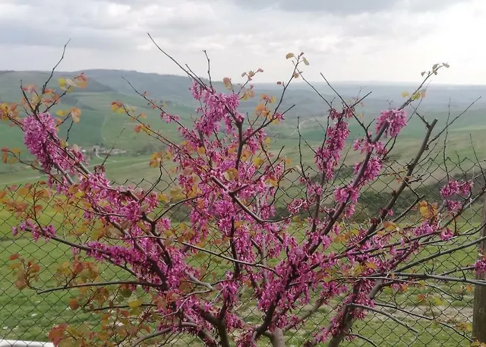 Collomici Feriegård