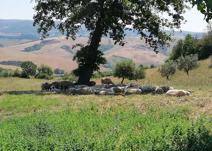 Feriegård Collomici *